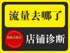 京东店铺诊断研究分析