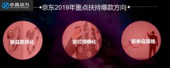 京东店铺托管给你讲讲京东爆款的维持问题