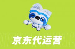 京东代运营中的广告投放与效果评估