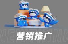 京东平台的新品推广与营销策略：年轻视角下的