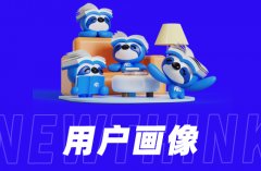 网店代运营：京东平台的用户画像构建与精准营