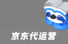 京东代运营案例分享：成功背后的策略